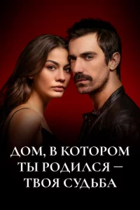 ld0ʍ, 1010 k0τ0p0ʍ τӹ p0ldouvnlсᴙ - τ10100ᴙ сyldob10c9ojk