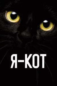 ᴙ — k0τ