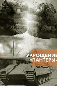 Укрощение «Пантеры»